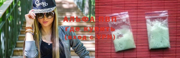 амф Новодвинск