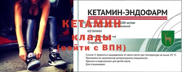 амф Новодвинск