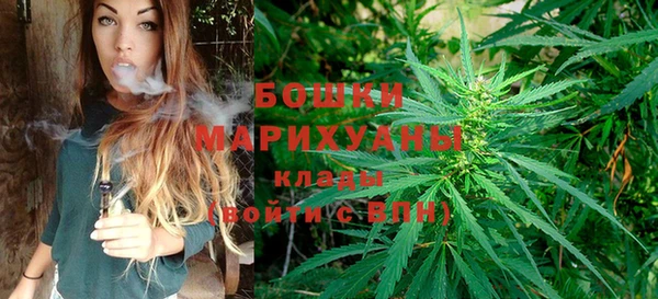 амф Новодвинск