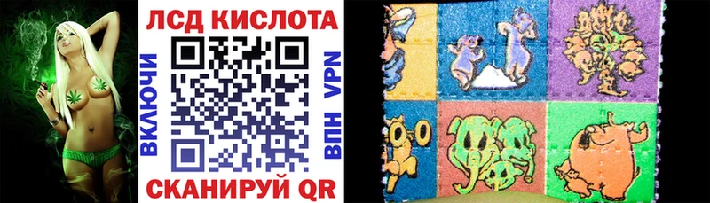 как найти   Кириллов  blacksprut сайт  Марки NBOMe 1500мкг 