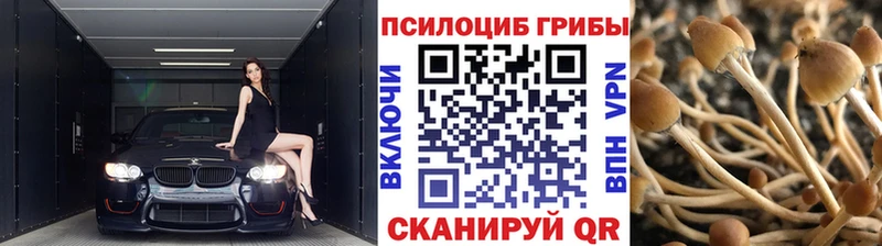 купить   Кириллов  кракен зеркало  Галлюциногенные грибы GOLDEN TEACHER 